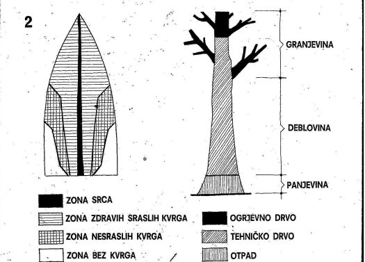Iskoriscenje